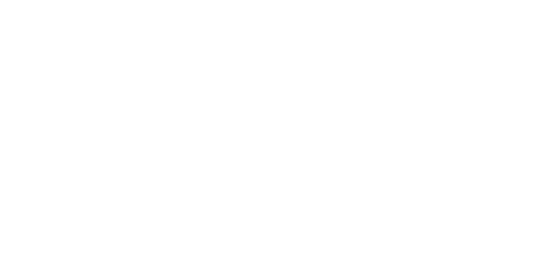 넥슨 logo